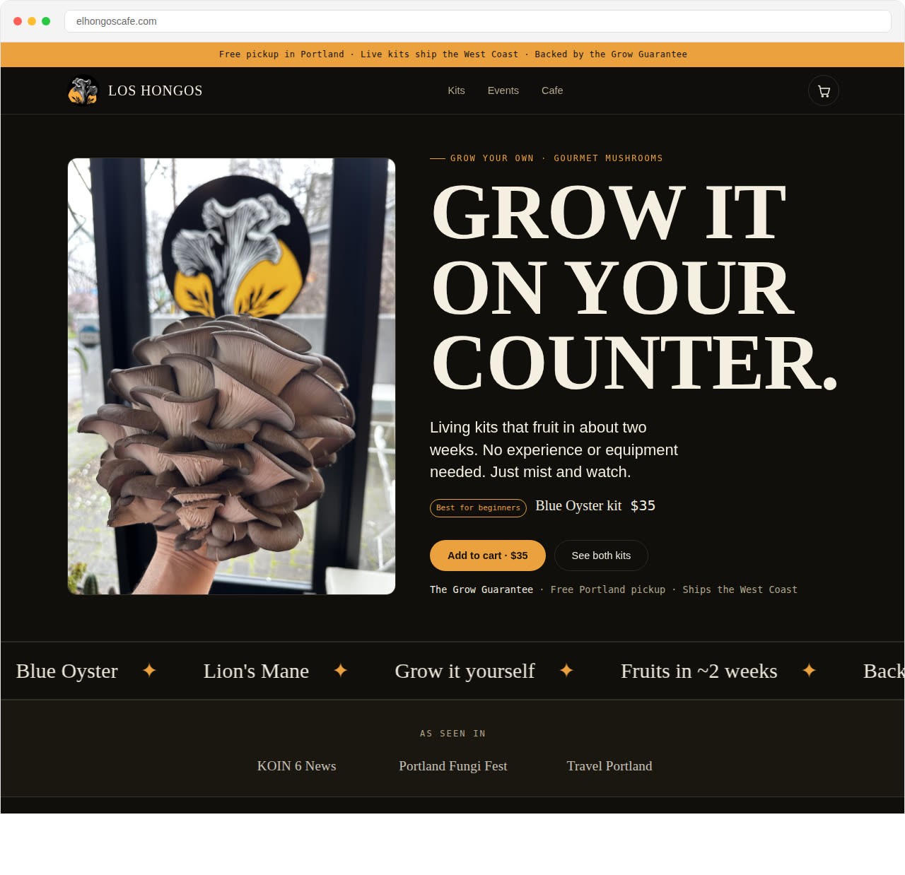 the los hongos online shop
